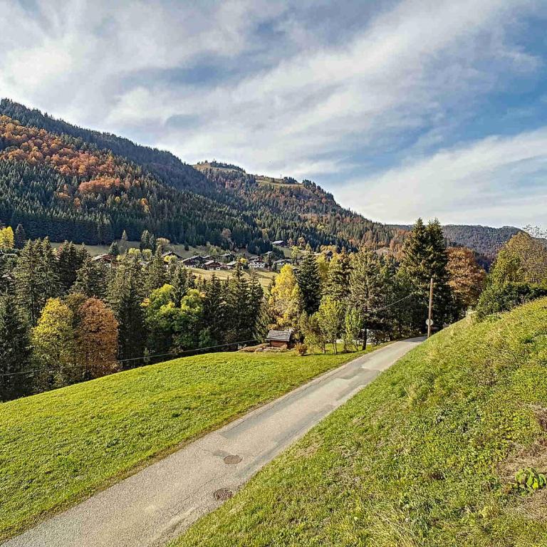 Demi-chalet confortable à La Clusaz - 6 pers, cheminée, wifi, animaux admis - FR-1-818-71 - Apartamento - 14