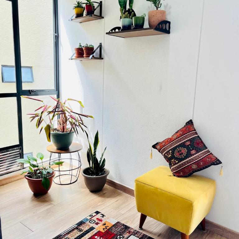 Comfy loft in La Candelaria - Apartamento de 1 dormitorio - 6