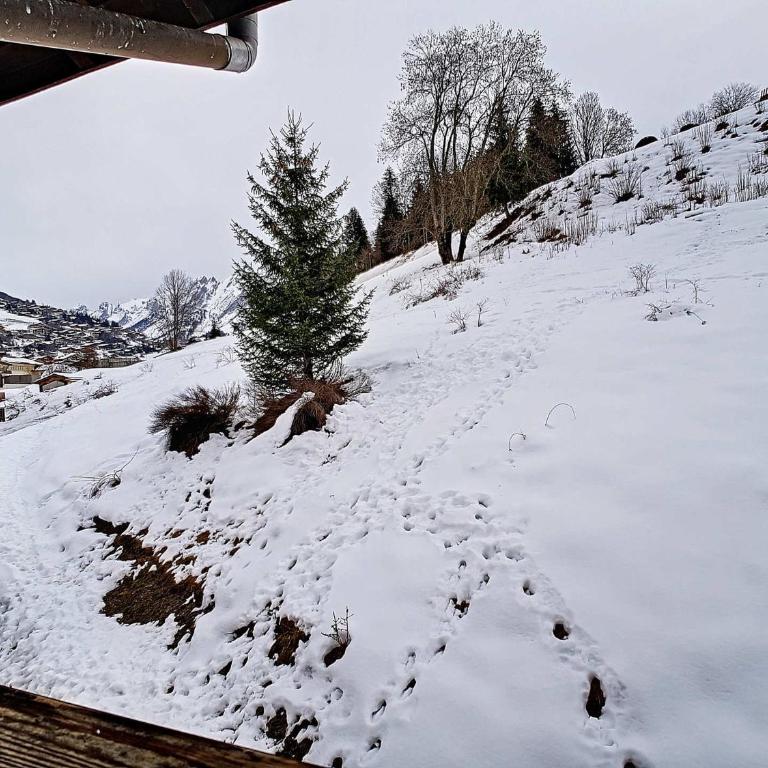 Studio à La Clusaz - 4 pers, balcon, animaux admis - FR-1-818-96 - Monolocale - 10