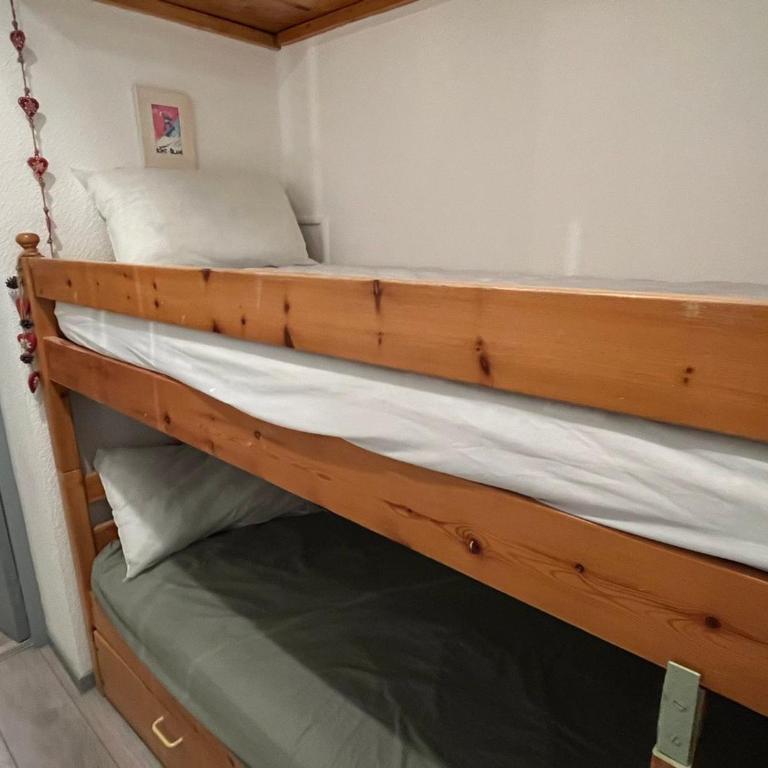 Studio 19m² à Samoëns, 4 pers, animaux admis, parking - FR-1-629-144 - Estudio - 4