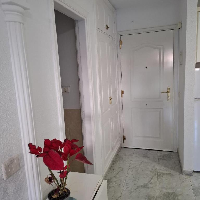 Aquamarina Dream - Apartamento de 1 dormitorio con terraza - 21