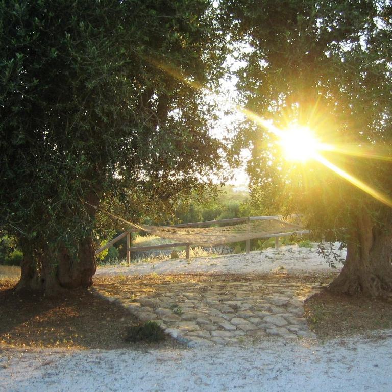 Antica Aia B&B - Trullo (4 Adulti) - 7