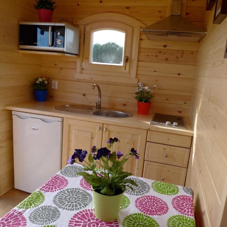 Chambres d'hôtes Mas Petit Prince - Mobile Home - 1