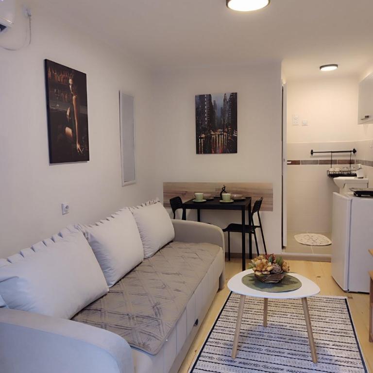 Studio Sanja - Apartman sa 1 Spavaćom Sobom - 9