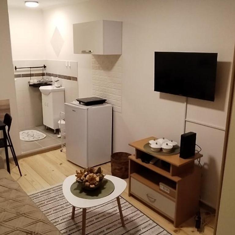 Studio Sanja - Apartman sa 1 Spavaćom Sobom - 16