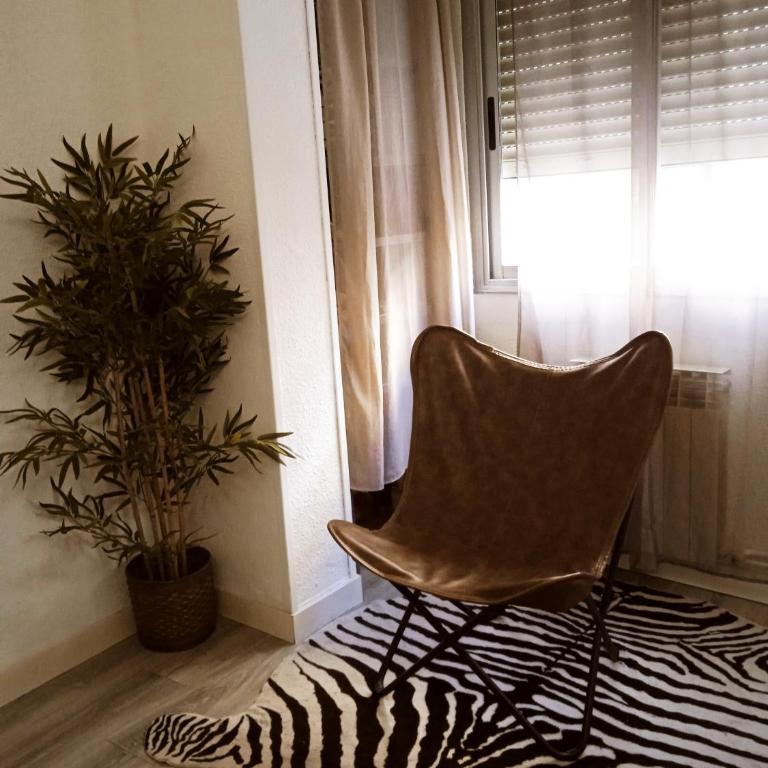 BERCEO 21 - Apartamento - 16