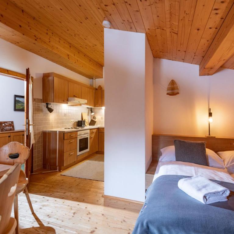 Au Alm Apartments - Appartamento - 3