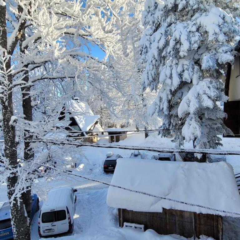 Apartment Vila MIA Jahorina - Apartman - 12