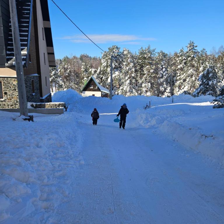 Divcinova Planinski A9 - Apartman sa 1 Spavaćom Sobom - 83