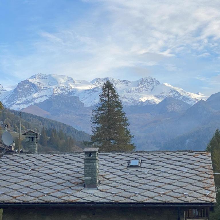 Casa della scultrice - Appartamento con 1 Camera da Letto - 28
