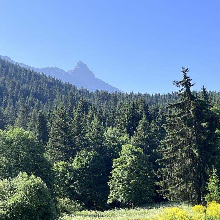 Instant Méribel - Appartement 3 Chambres avec Vue sur la Montagne - 15