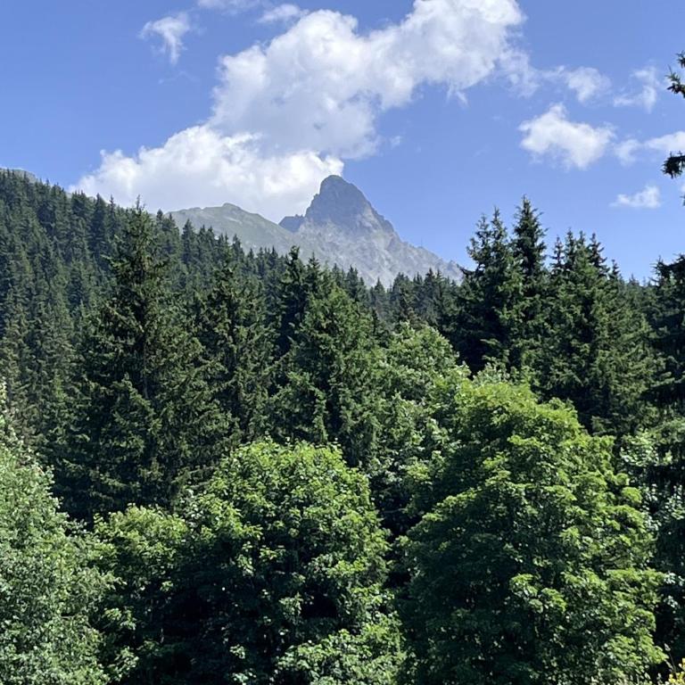 Instant Méribel - Appartement 3 Chambres avec Vue sur la Montagne - 16