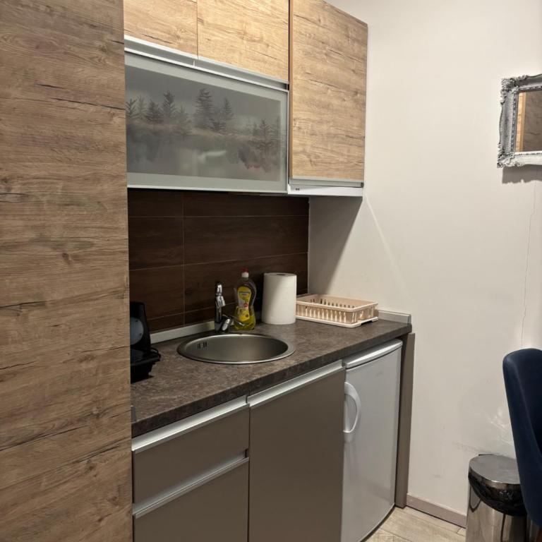 Kopaonik Apartmani Milmari - Katic - King Studio with Sofa Bed - 9