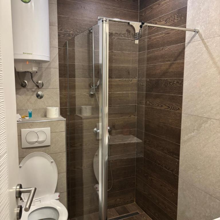 Kopaonik Apartmani Milmari - Katic - King Studio with Sofa Bed - 11