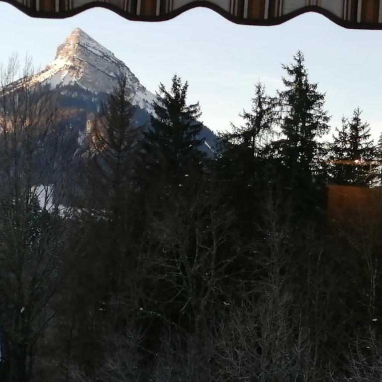 La Bienvenue en Chartreuse - Appartement - 2