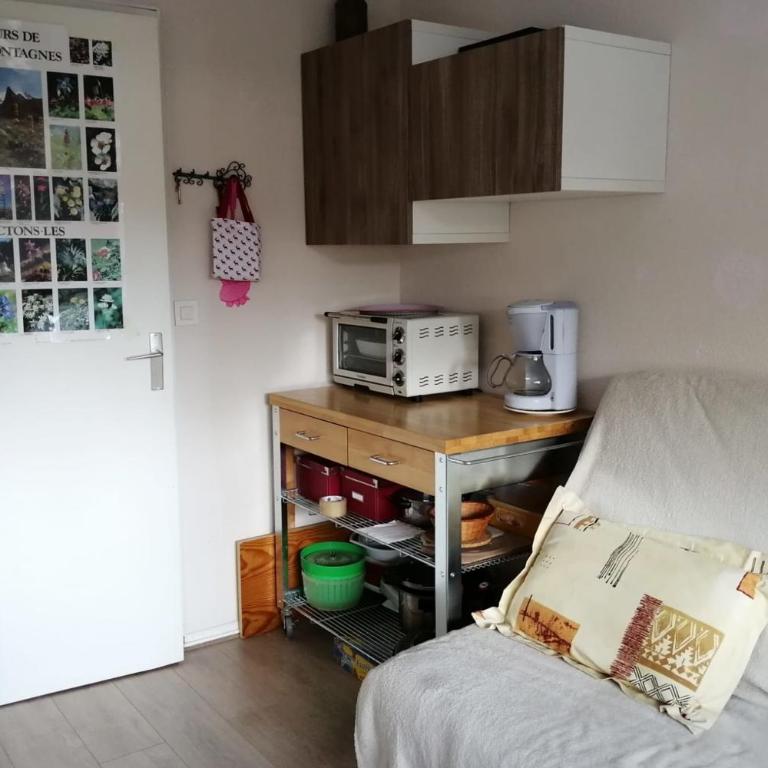 La Bienvenue en Chartreuse - Appartement - 30