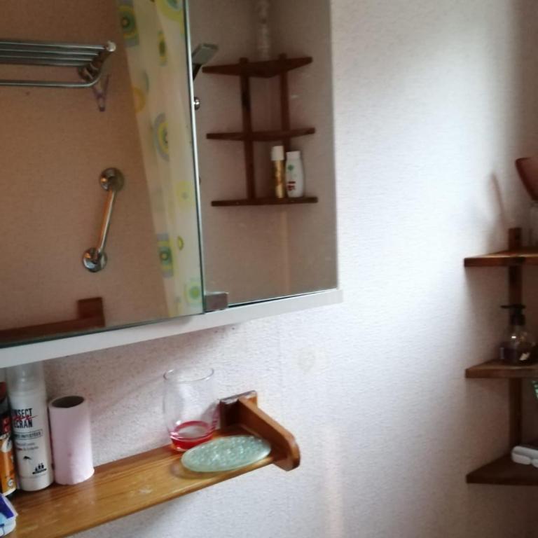La Bienvenue en Chartreuse - Appartement - 39