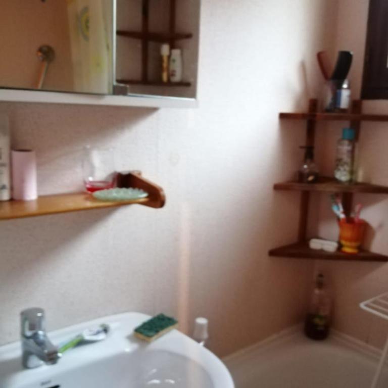 La Bienvenue en Chartreuse - Appartement - 40