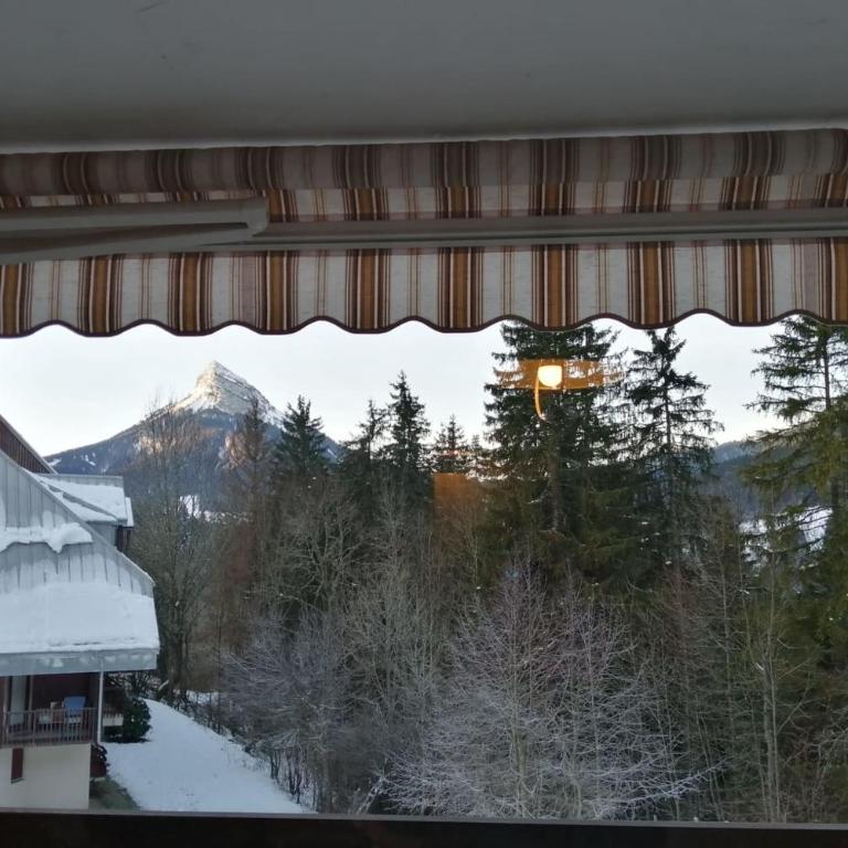 La Bienvenue en Chartreuse - Appartement - 43