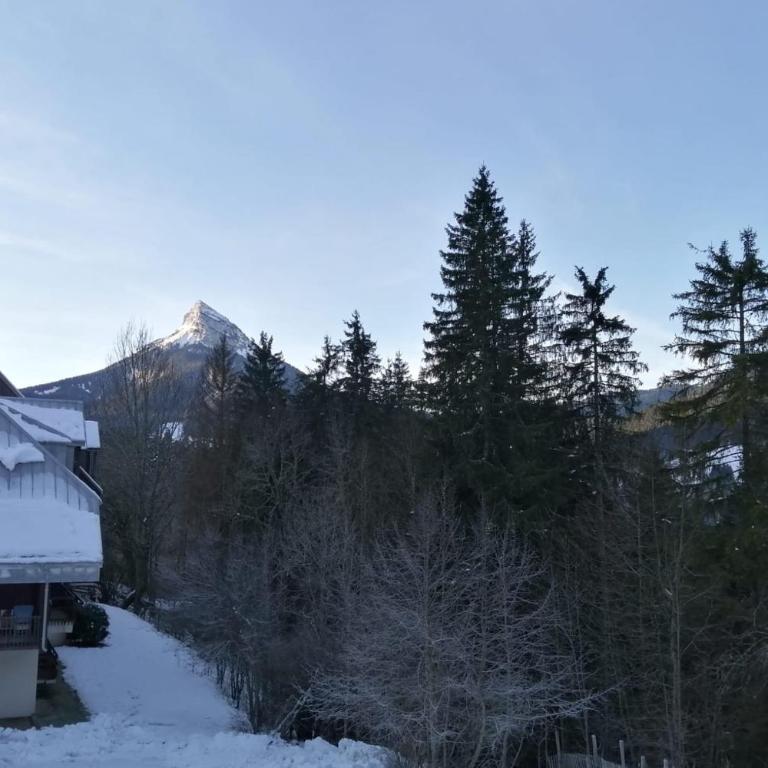 La Bienvenue en Chartreuse - Appartement - 44