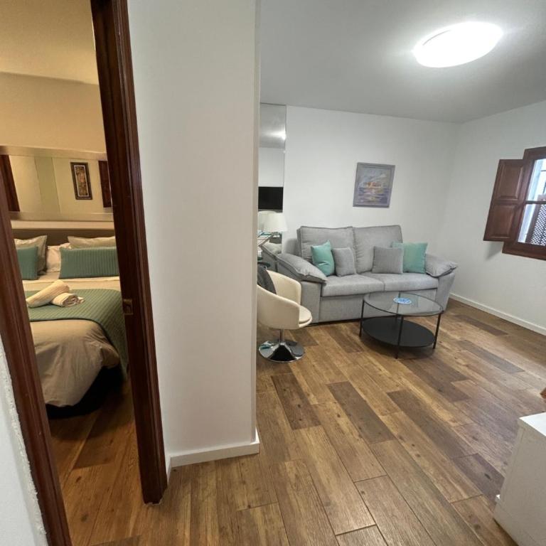 Apartamento Marques del Villar - Apartamento de 1 dormitorio - 7