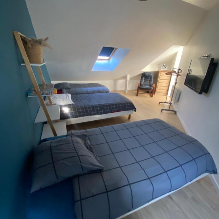 joli toit terrasse Le Celtic - Two-Bedroom Apartment - 15