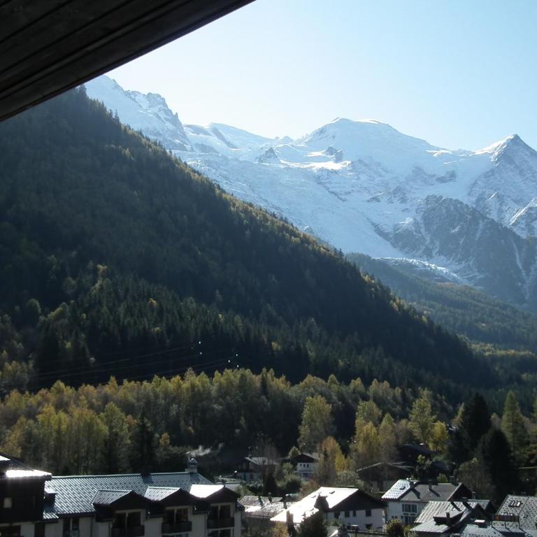 Chamois blanc / Chamonix - Apartment mit 1 Schlafzimmer - 42