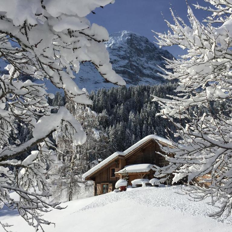 Eigerhome - The Cottage mit Wellness - GRIWA RENT AG - Vacation Home - 33
