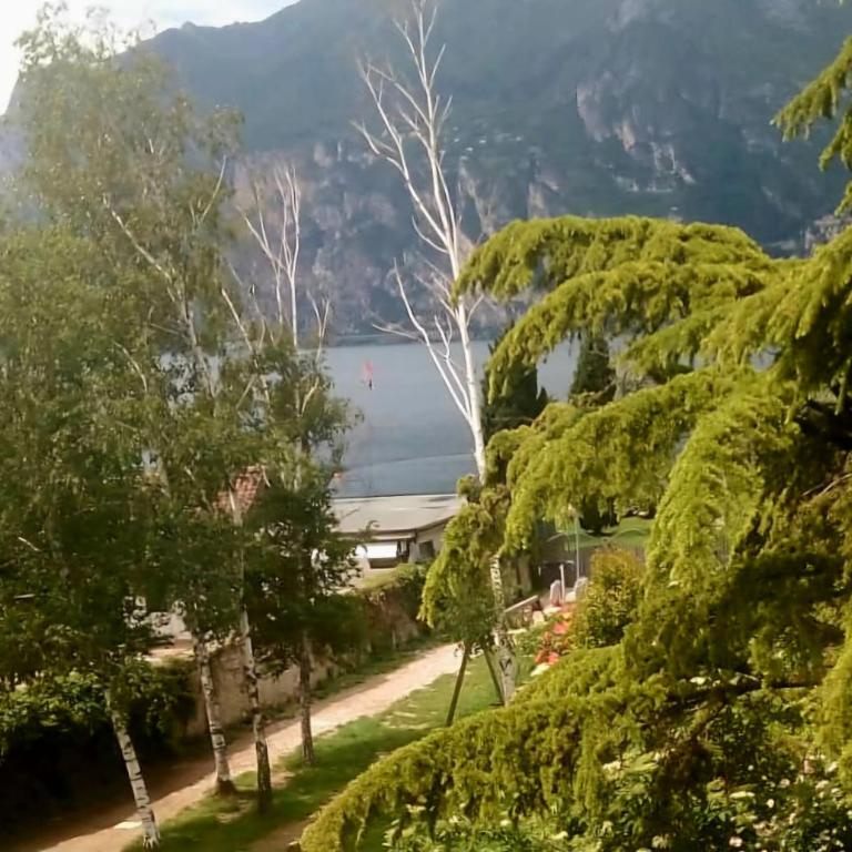 Villa Torbole - Camera Deluxe Matrimoniale/Doppia con Letti Singoli con Vista Lago - 2