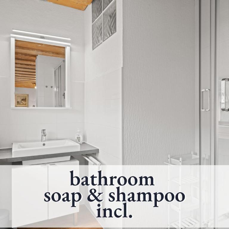 Hallo!-Apartments - Ideal für Geschäftsreisende, Monteure und Feriengäste - Comfort Apartment with balcony - Nr.8 - 5
