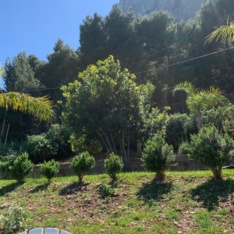 Mondello Addaura Addisio Suite - One-Bedroom Apartment with Sea View and Terrace - 11