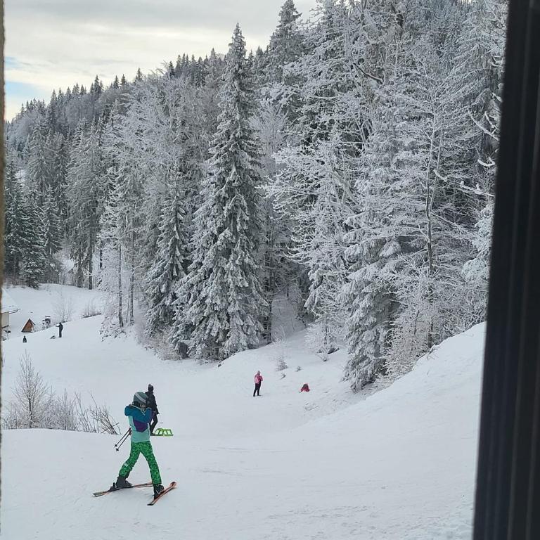 Terra Relax - ski in-ski out, apartman sa saunom, kaminom i parkingom - Apartment - 23
