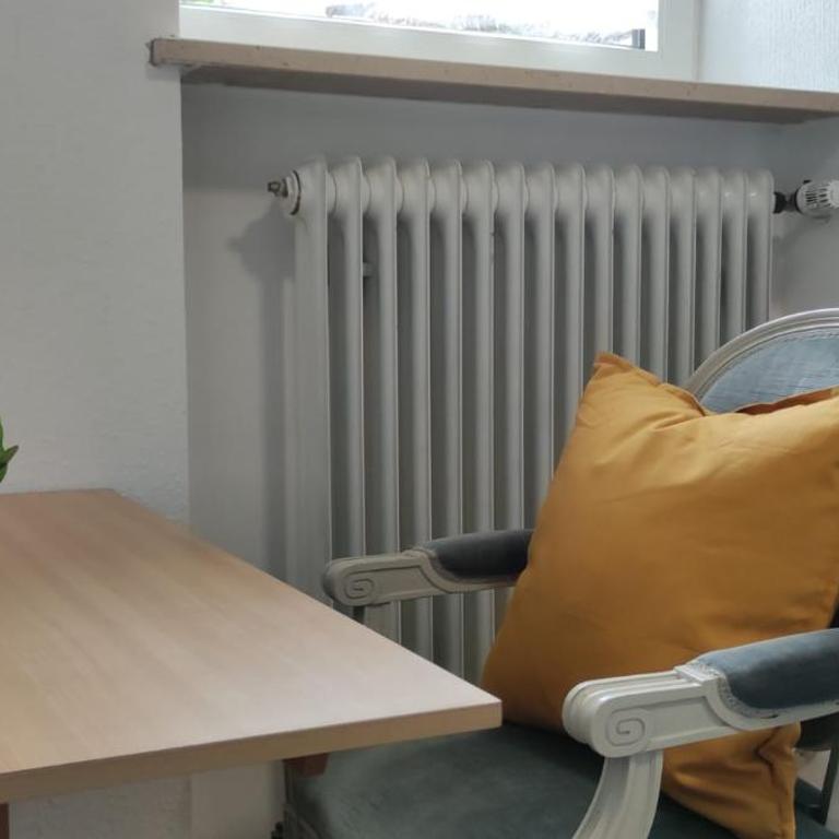 Hallo!-Apartments - Ideal für Geschäftsreisende, Monteure und Feriengäste - Budget Apartment - Nr.2 - 4