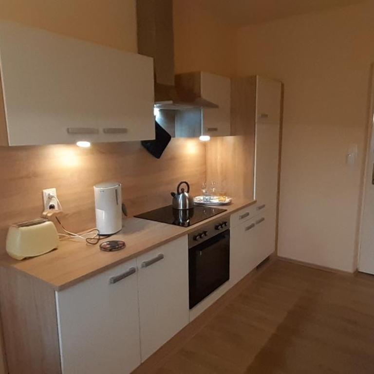 Villa Tadina Ferienwohnungen Mariazell - Appartement 1 Chambre avec Vue - 11