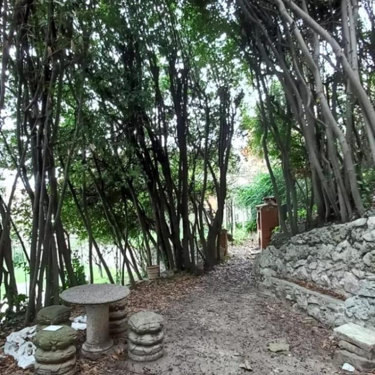Secret villa's city garden - Camera Matrimoniale con Bagno in Comune - 32