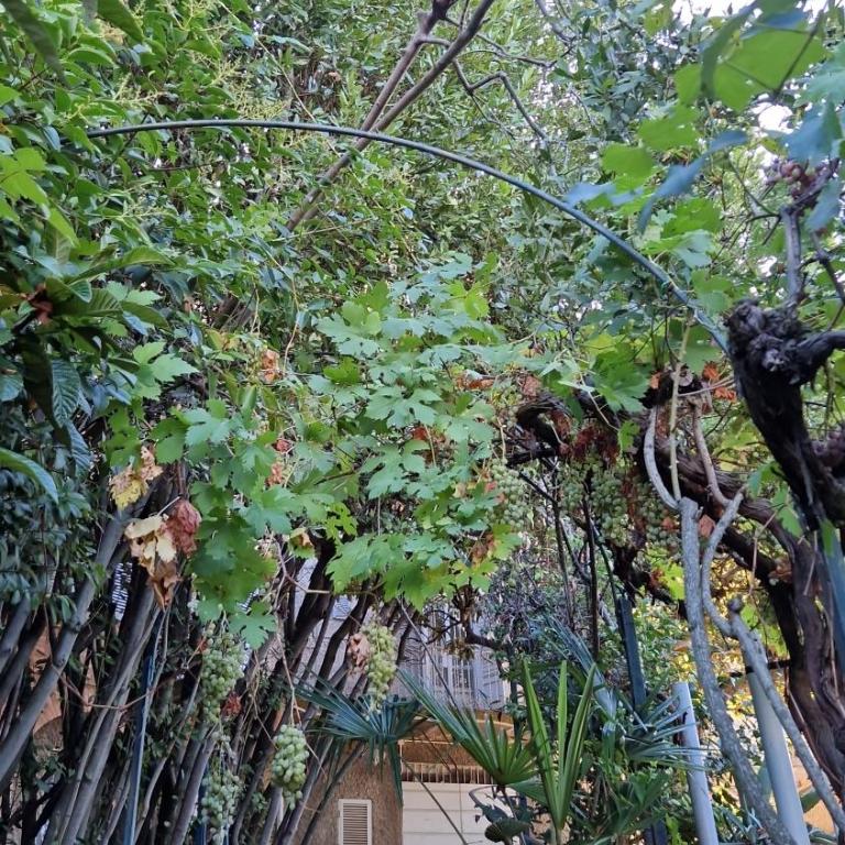 Secret villa's city garden - Camera Matrimoniale con Bagno in Comune - 44