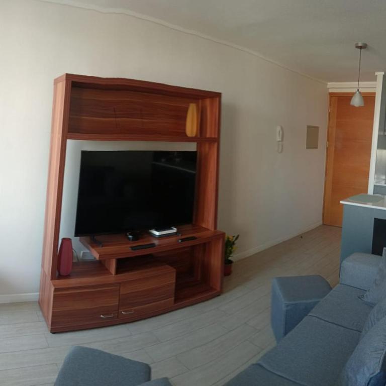 Hermoso departamento con vista cordillera - Apartamento de 1 dormitorio - 7