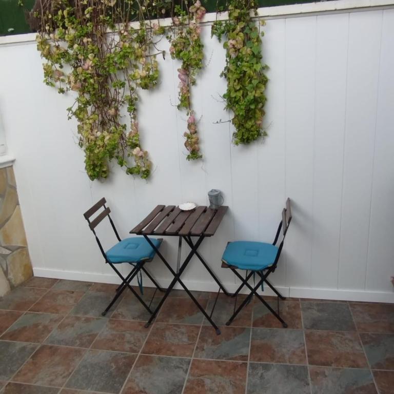 Tuty - Apartamento de 1 dormitorio - 25