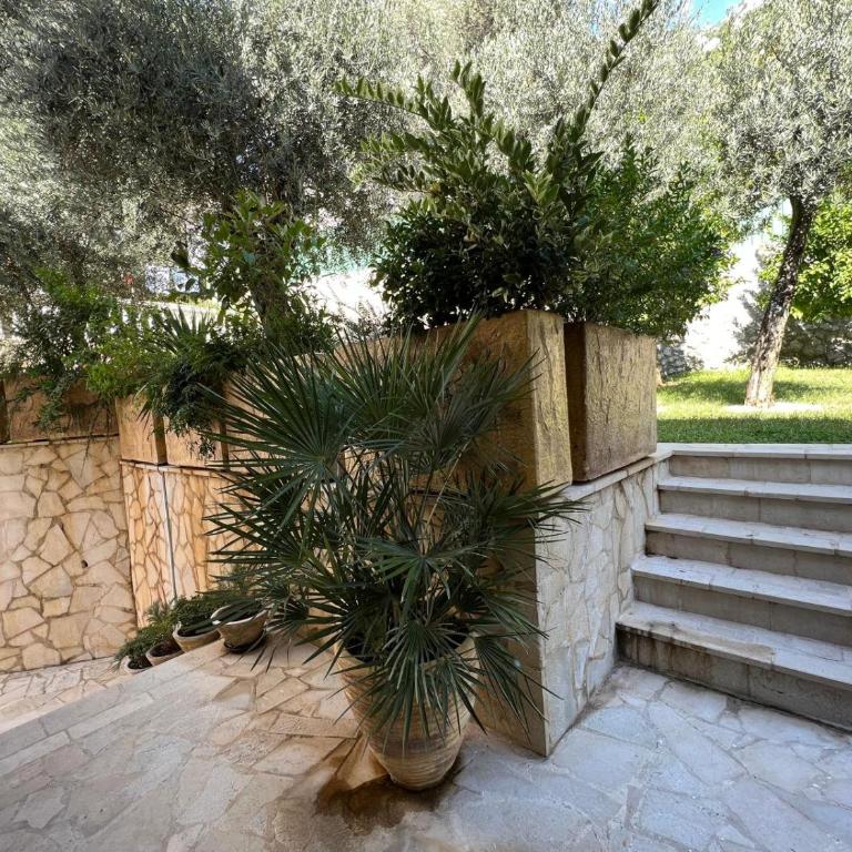 Olive Residence Rezevici - Apartman sa 3 Spavaće Sobe i Pogledom na More - 27