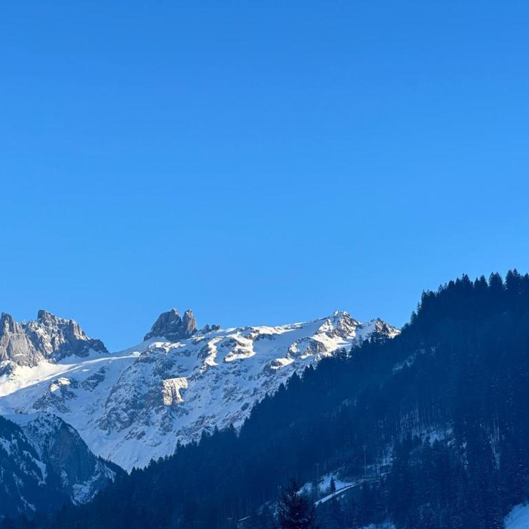 Alpine Escape Titlis, Ski, Lake - Apartment - 9