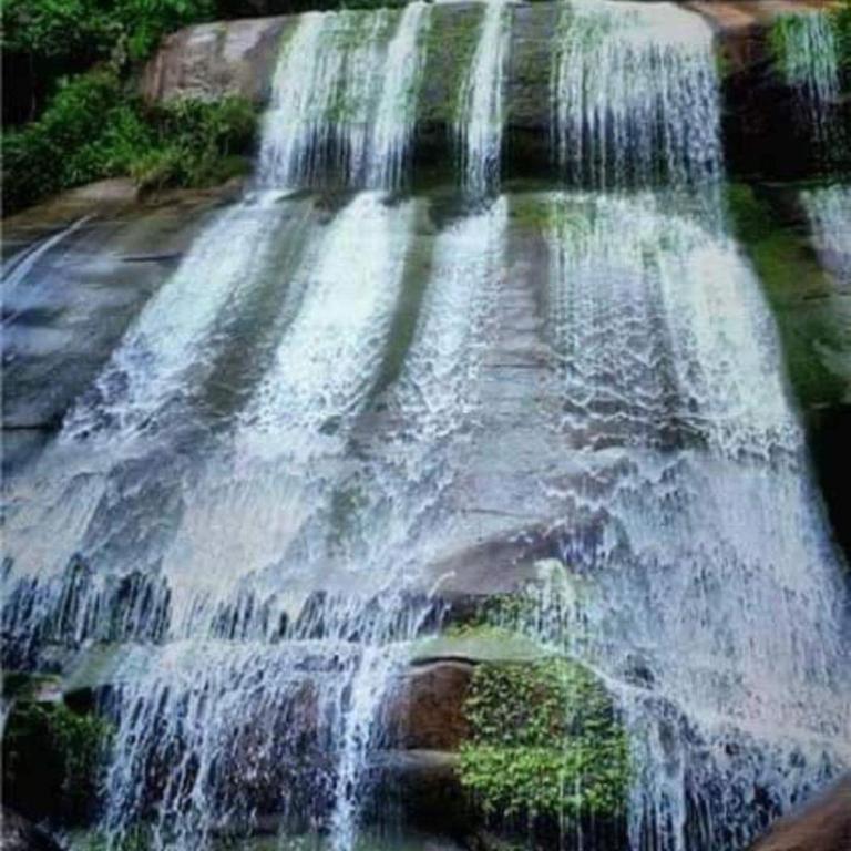 Apartamento Vacacional in San Carlos Antioquia - One-Bedroom Apartment - 6