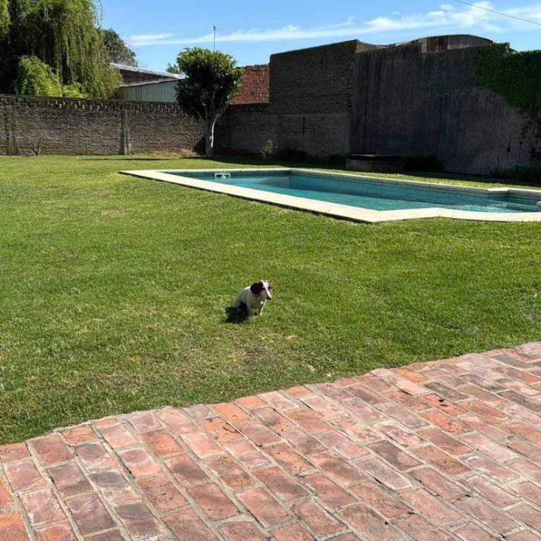 Lo de Vilma - Casa de 2 dormitorios - 5