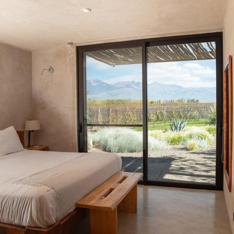 Casa Crux - Bodega Alfa Crux - Villa - 17