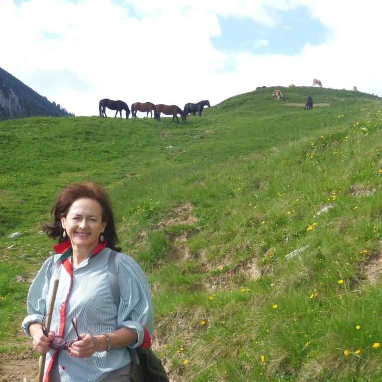Almidylle Kathrin - Ferienhaus - 13