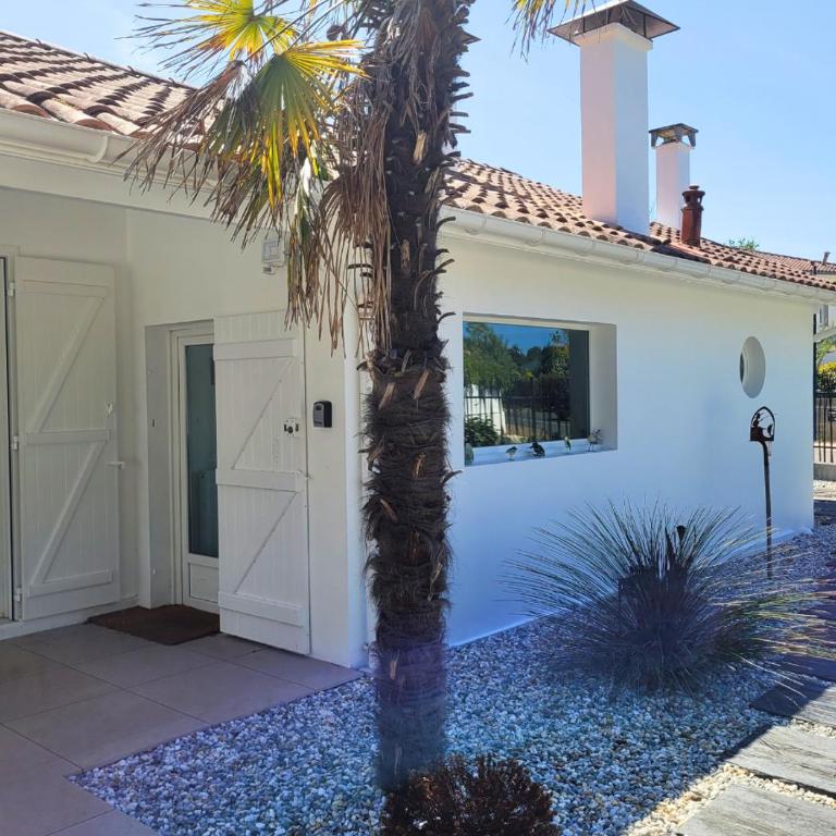 BRUYERES - Capbreton, belle villa spacieuse entre ville et plages au calme - Maison 3 Chambres - 9