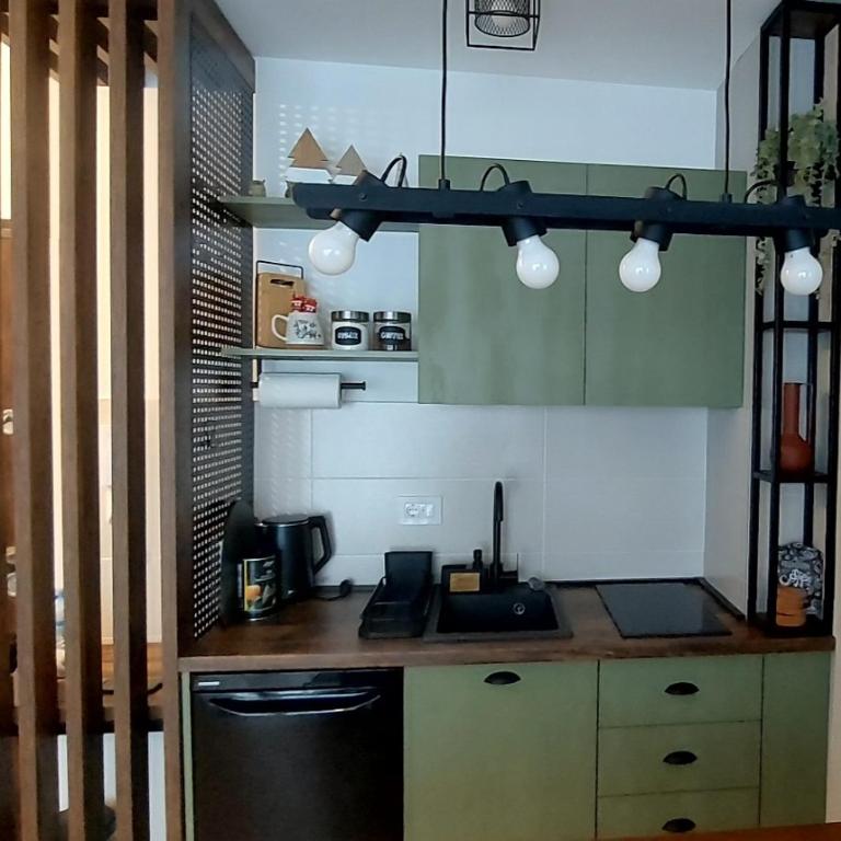 FOREST SIDE Apartmani - Apartman sa 1 Spavaćom Sobom - 37