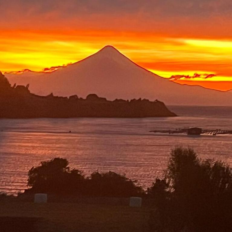 Casa en parcela de 5000 mts - Casa de 3 dormitorios - 17