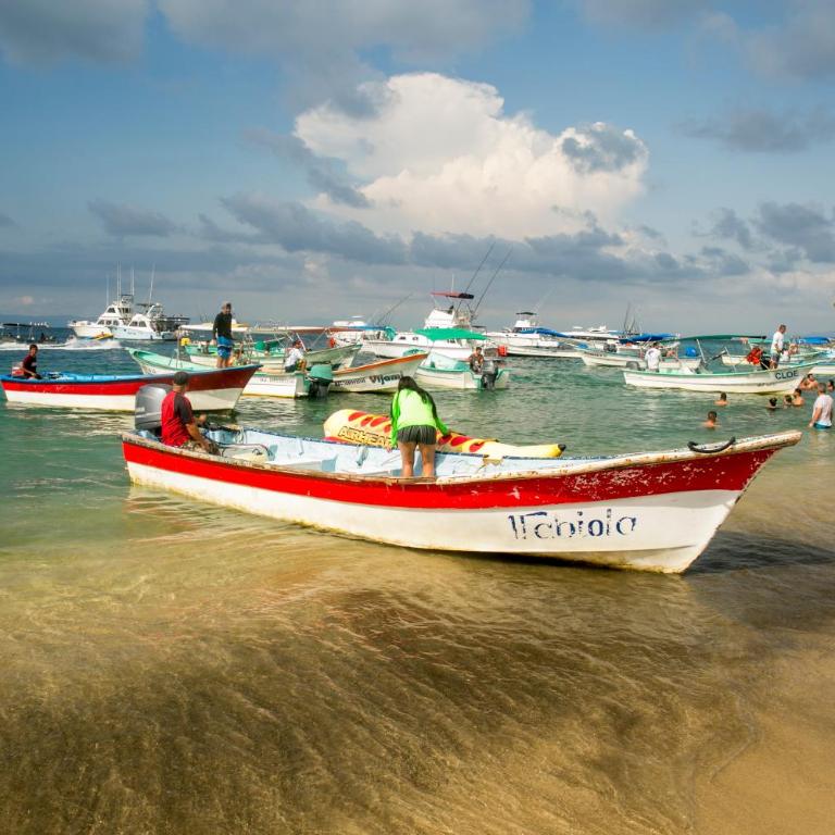 Panchos Paradise - Casa - 25