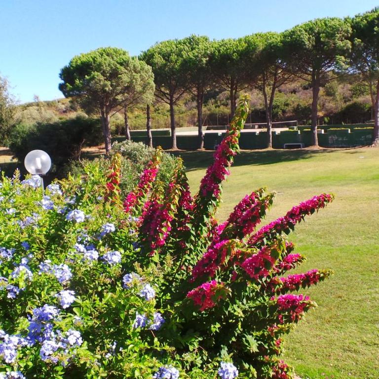 Residence Sottomonte - Appartamento con Vista Giardino - 50
