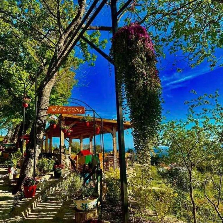 Ranc Mujica - Apartman sa 1 Spavaćom Sobom - 75